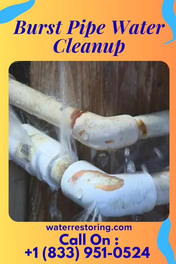 Burst Pipe Water Cleanup in Sewickley Heights, PA