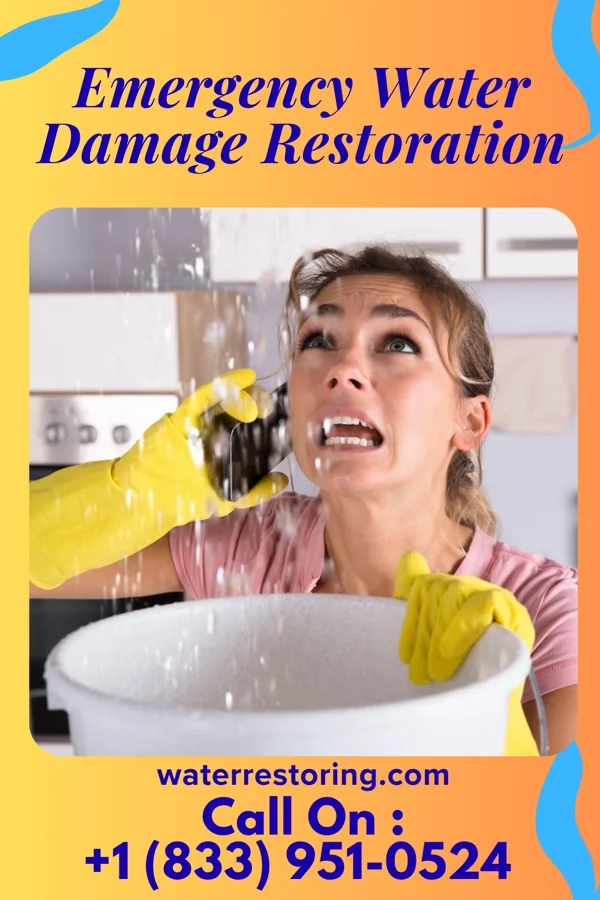 Emergency Water Damage Restoration in Sewickley Heights, PA