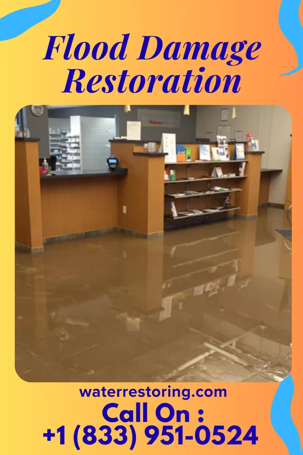 Flood Damage Restoration in Sewickley Heights, PA