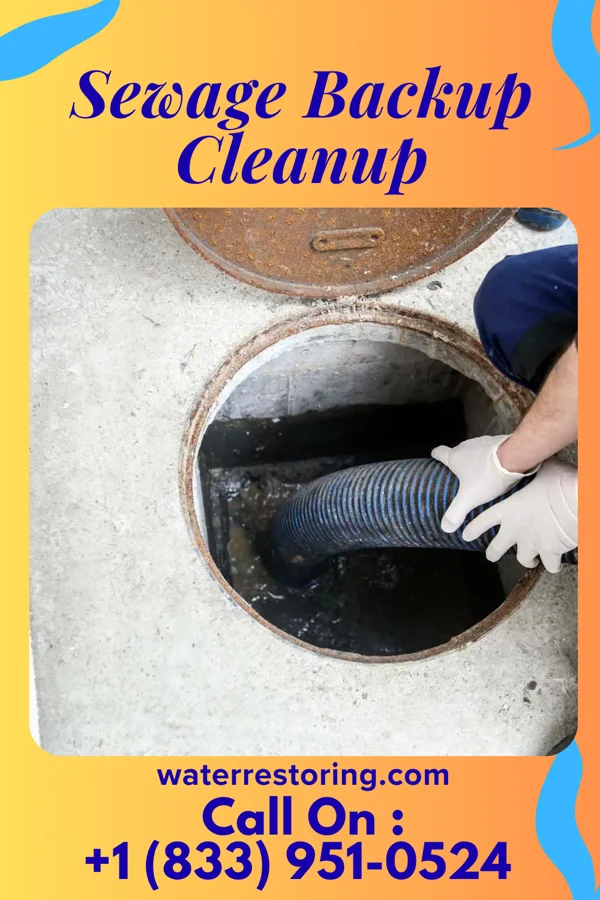 Sewage Backup Cleanup in Sewickley Heights, PA