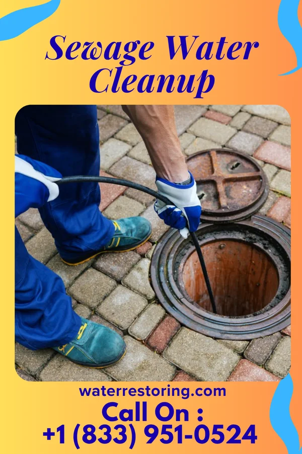 Sewage Water Cleanup in Sewickley Heights, PA