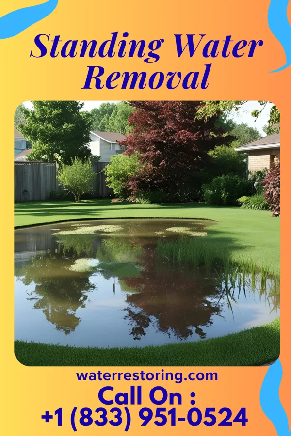 Standing Water Removal in Sewickley Heights, PA